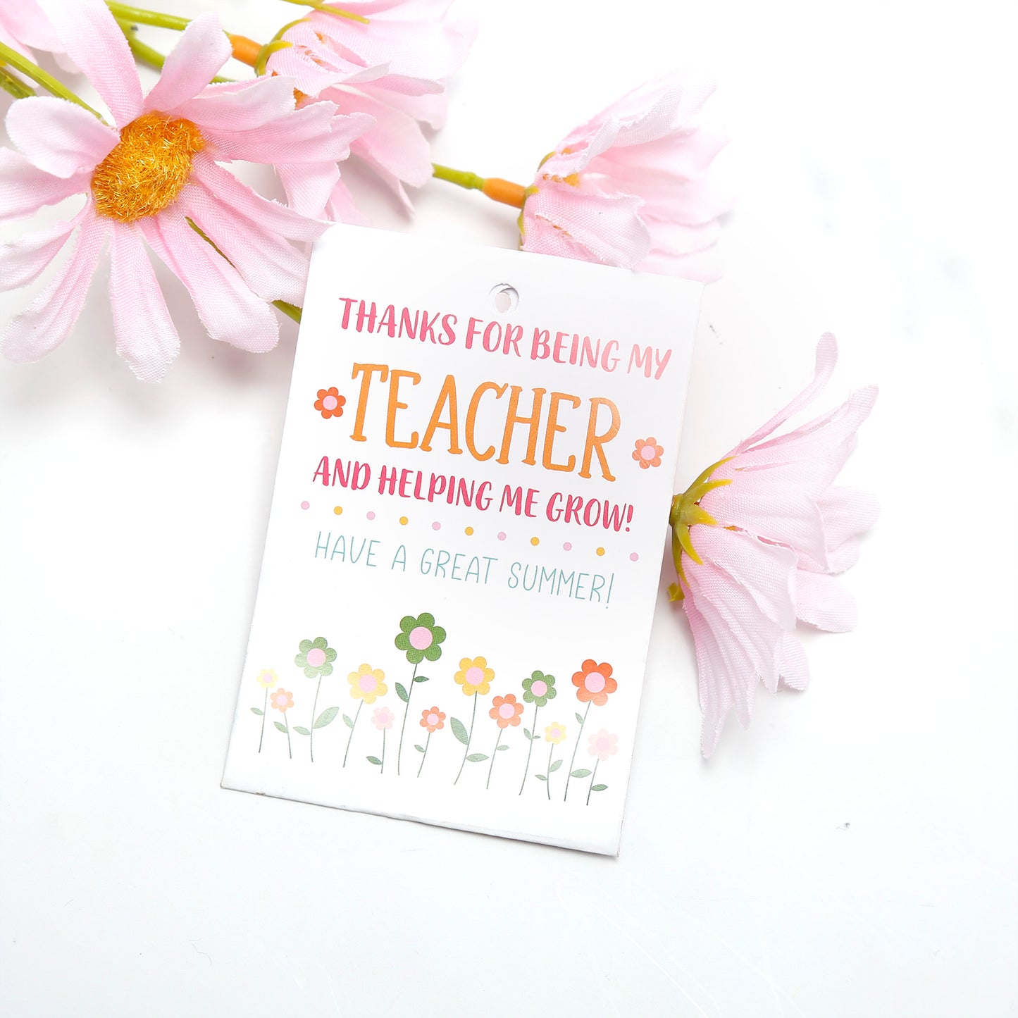 Cheep N Cheerful Teachers Appreciation Gift Basket Bundle - Pink